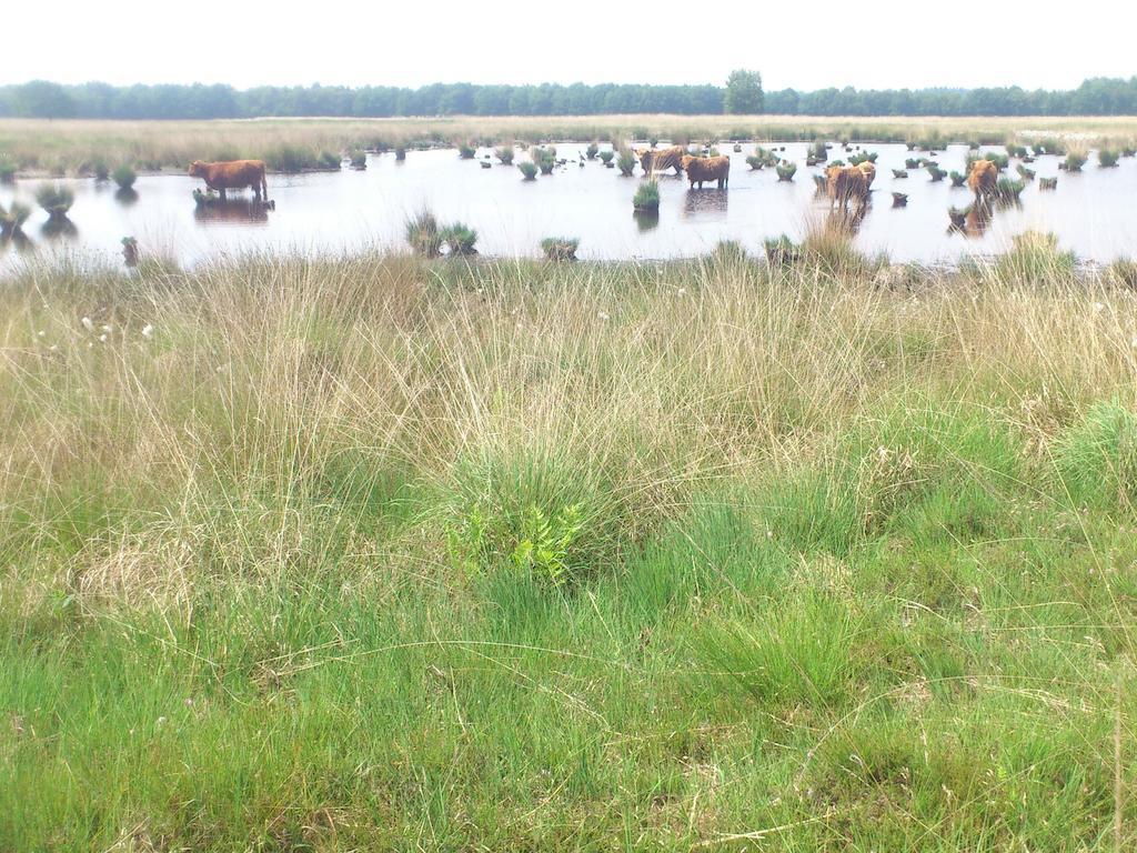 شقة Stal Zwartschaap Stuifzand المظهر الخارجي الصورة